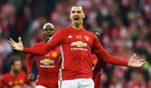 绿色四叶草 绿色四叶草